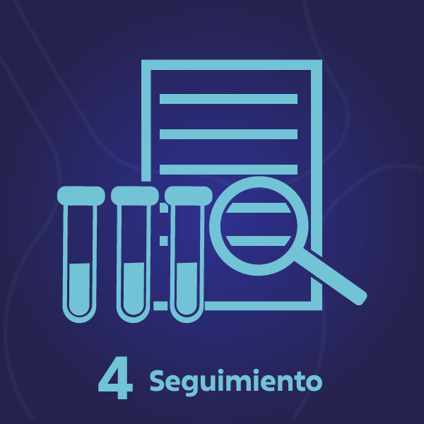 4. seguimiento