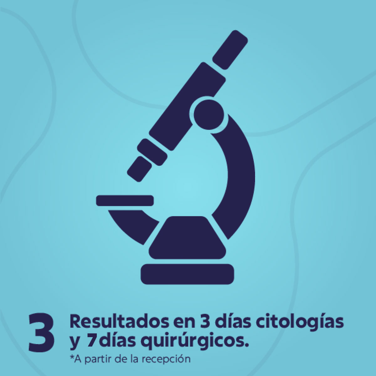 3 Resultados